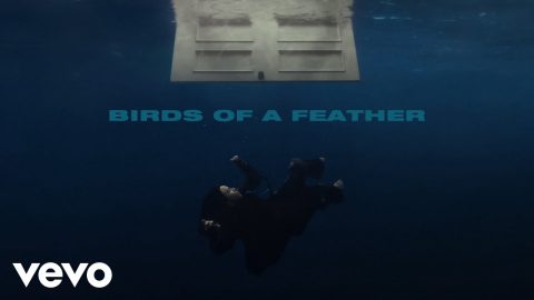 Birds of a Feather – Billie Eilish